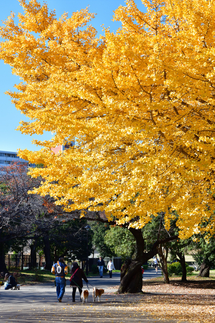 DSC_4322_001.JPG