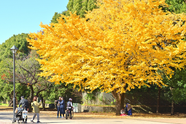DSC_4325_001.JPG