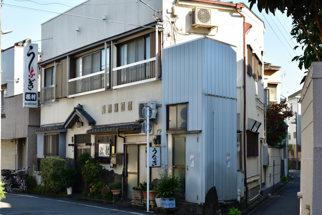DSC_4381_001.JPG