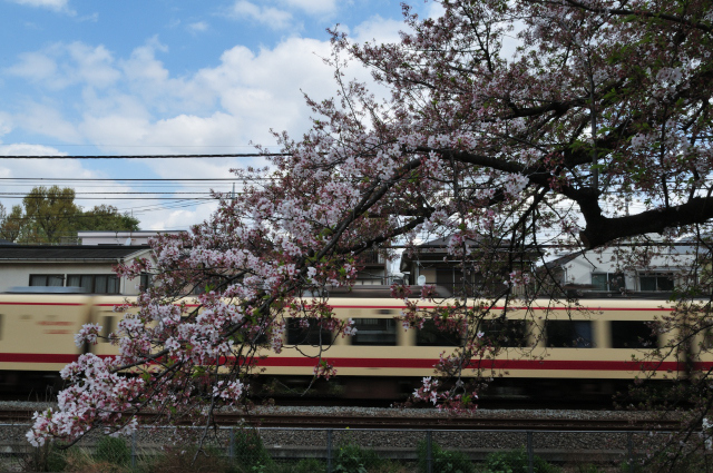 DSC_4385 (2)_00001.jpg