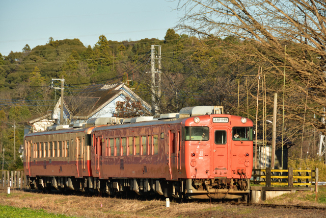 DSC_4396_001.JPG