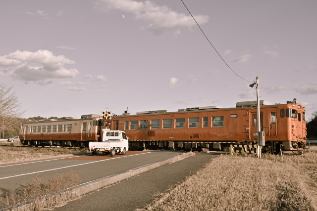 DSC_4399_001.JPG