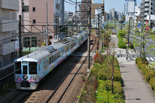 DSC_4492 (2)_00001.jpg