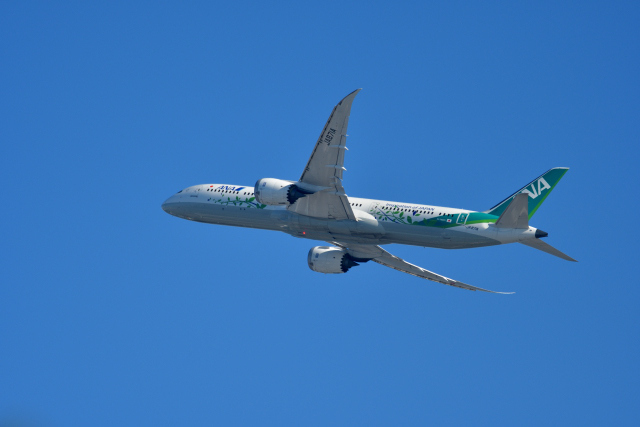 DSC_4524_001.JPG