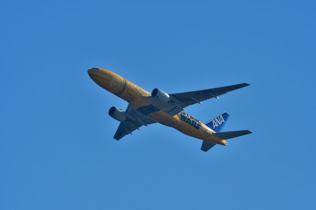DSC_4583_001.JPG