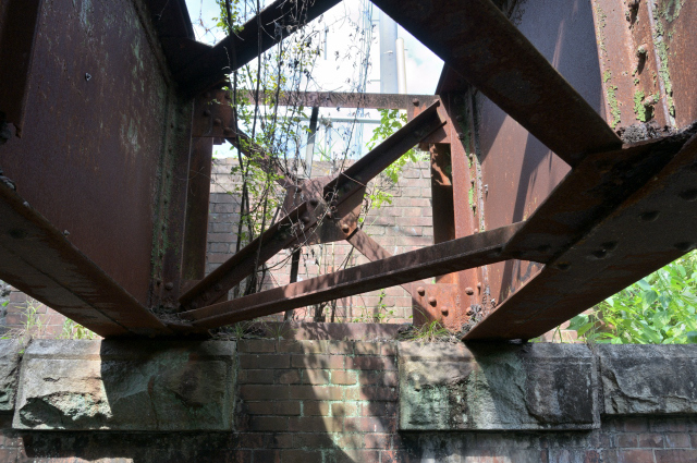 DSC_4712_001.JPG