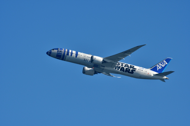 DSC_4733_001.JPG