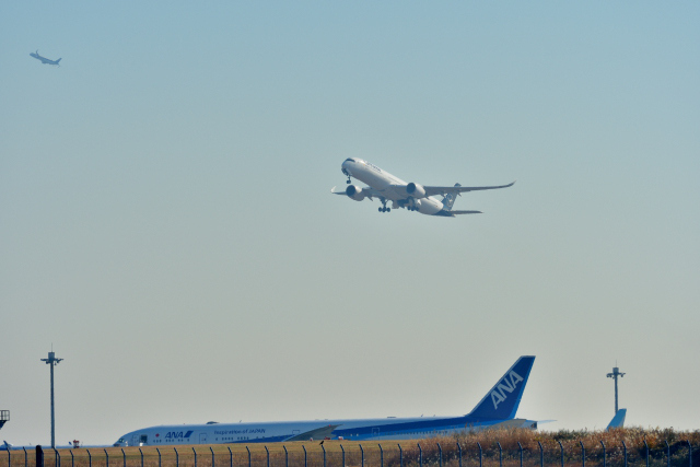 DSC_4772_001.JPG