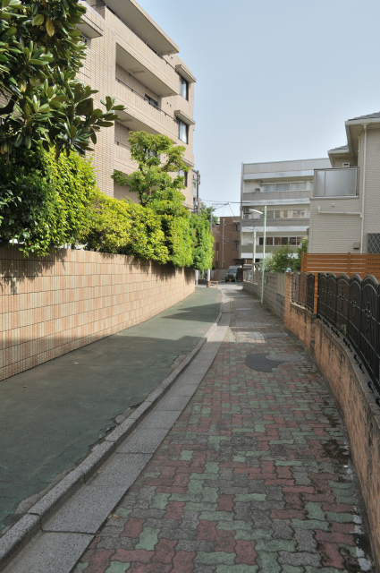 DSC_4803 (2)_00001.jpg