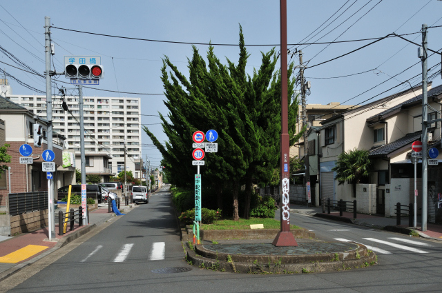 DSC_4810 (2)_00001.jpg
