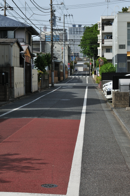 DSC_4811 (2)_00001.jpg