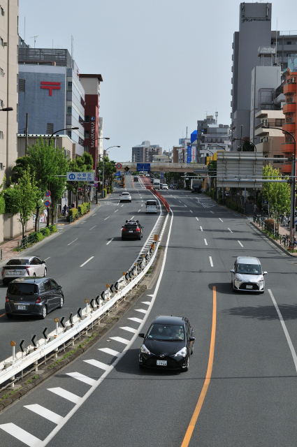 DSC_4813 (2)_00001.jpg