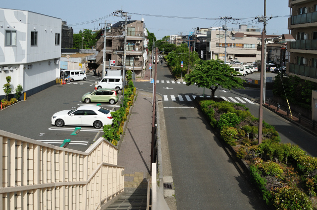 DSC_4816 (2)_00001.jpg