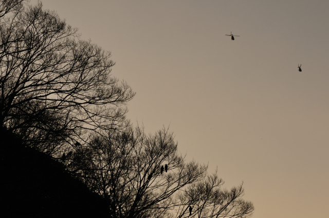 DSC_4893 のコピー_001.JPG