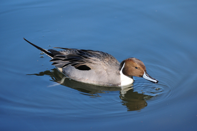 DSC_5111_001.JPG