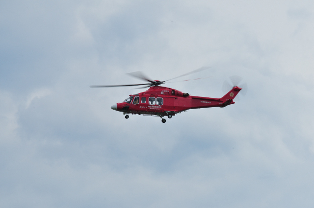 DSC_5118 (2)_00001.jpg