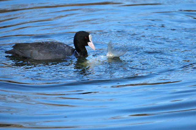 DSC_5121_001.JPG