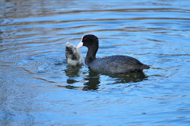 DSC_5124_001.JPG