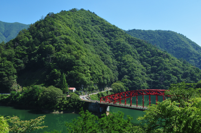 DSC_5235 (2)_00001.jpg