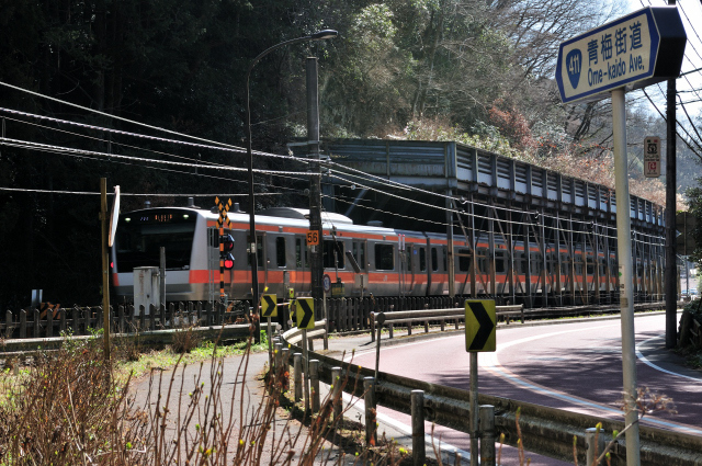 DSC_5454 (2)_00001.jpg