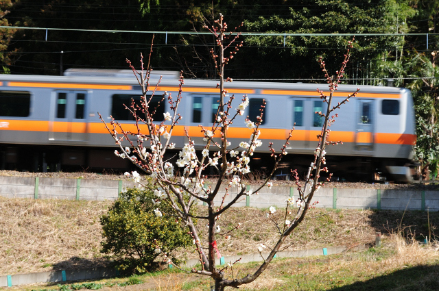 DSC_5460 (2)_00001.jpg