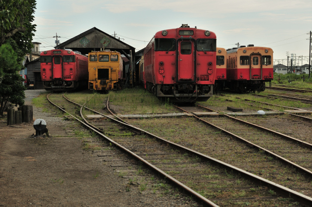 DSC_5516 (2)_00001.jpg