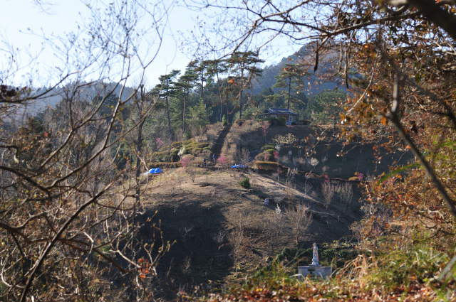 DSC_5532 (2)_00001.jpg
