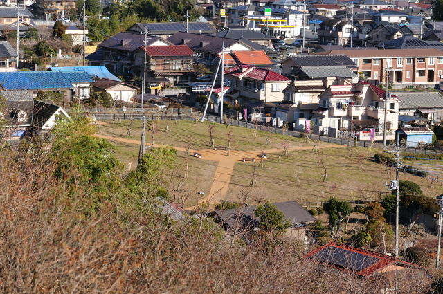 DSC_5533 (2)_00001.jpg