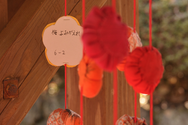 DSC_5541 (2)_00001.jpg