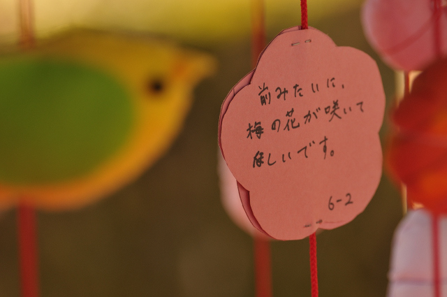 DSC_5542 (2)_00001.jpg