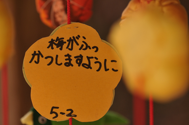 DSC_5543 (2)_00001.jpg