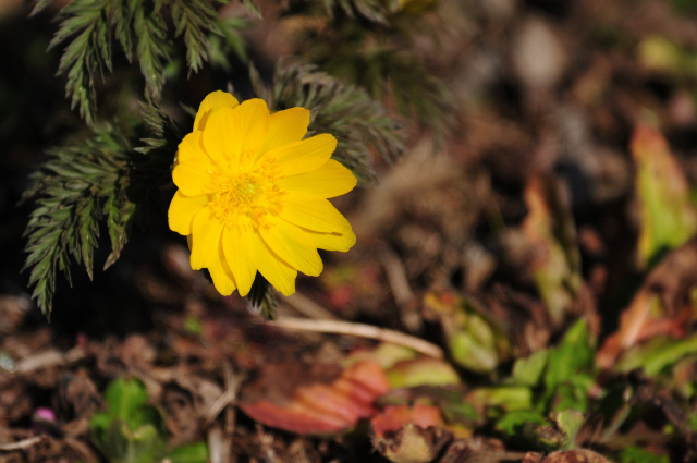 DSC_5568 (2)_00001.jpg