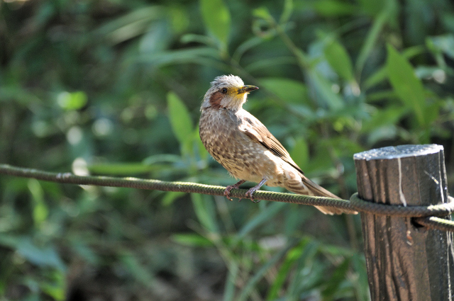 DSC_5618 (2)_00001.jpg