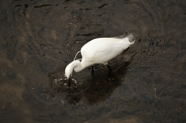 DSC_5628_001.JPG