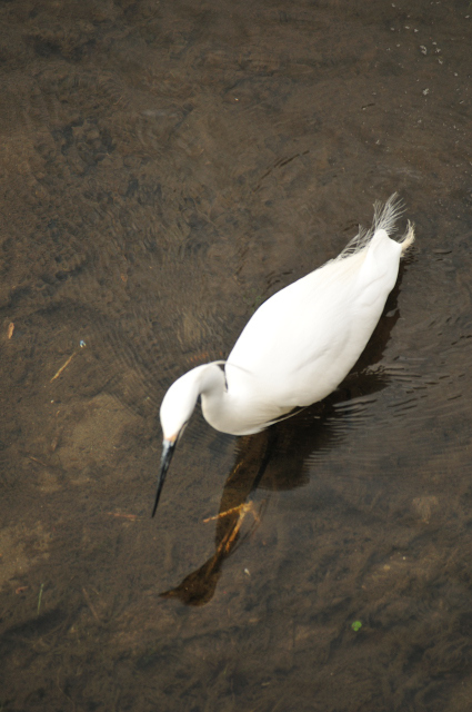DSC_5631_001.JPG