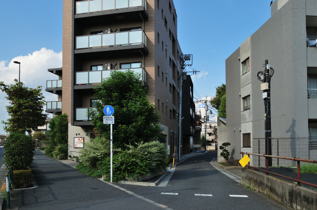 DSC_5848 (2)_00001.jpg