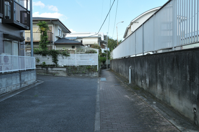 DSC_5850 (2)_00001.jpg