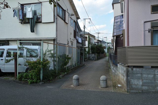 DSC_5853 (2)_00001.jpg