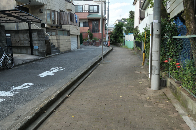 DSC_5859 (2)_00001.jpg