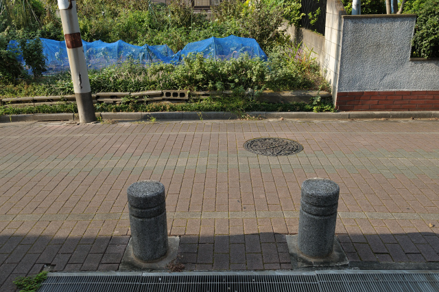DSC_5867 (2)_00001.jpg