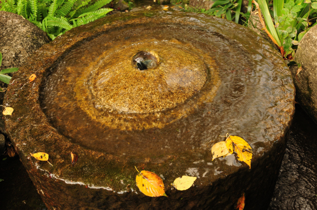 DSC_5877 (2)_00001.jpg