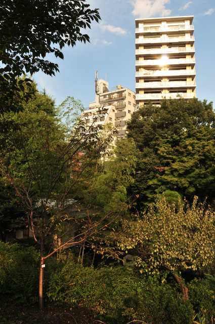 DSC_5878 (2)_00001.jpg