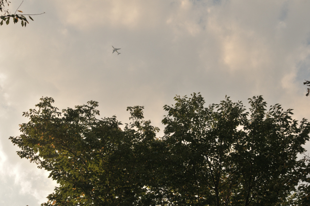 DSC_5879 (2)_00001.jpg