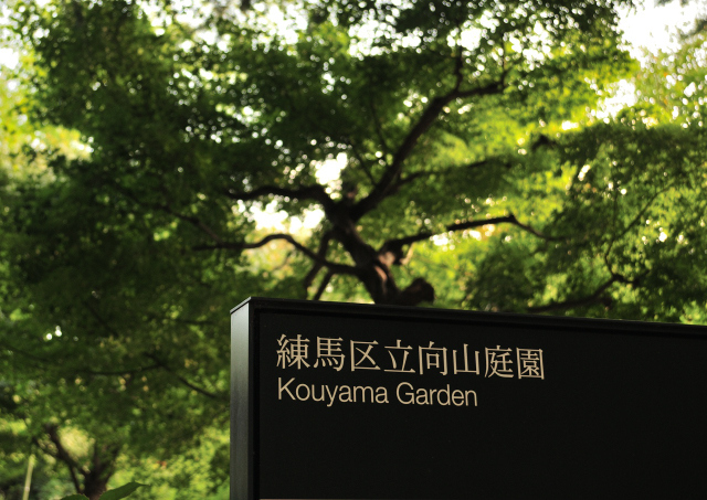 DSC_5883 (2)_00001.jpg