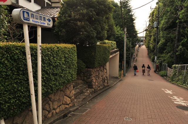DSC_5885 (2)_00001.jpg