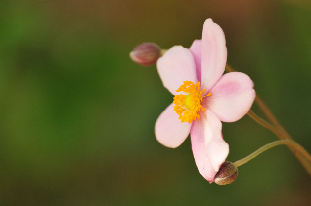 DSC_6071 (2)_00001.jpg