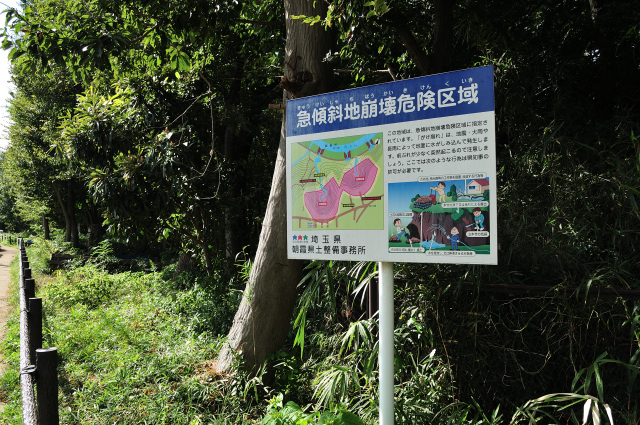 DSC_6141 (2)_00001.jpg