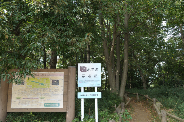 DSC_6142 (2)_00001.jpg