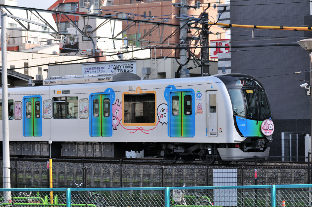 DSC_6147 (2)_00001.jpg