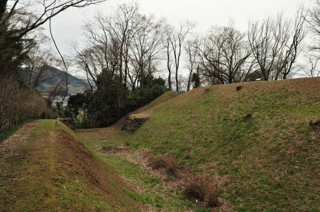 DSC_6211_001.JPG